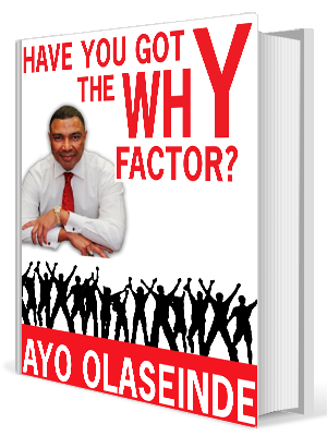 Have-You-Got-The-Why-Factor